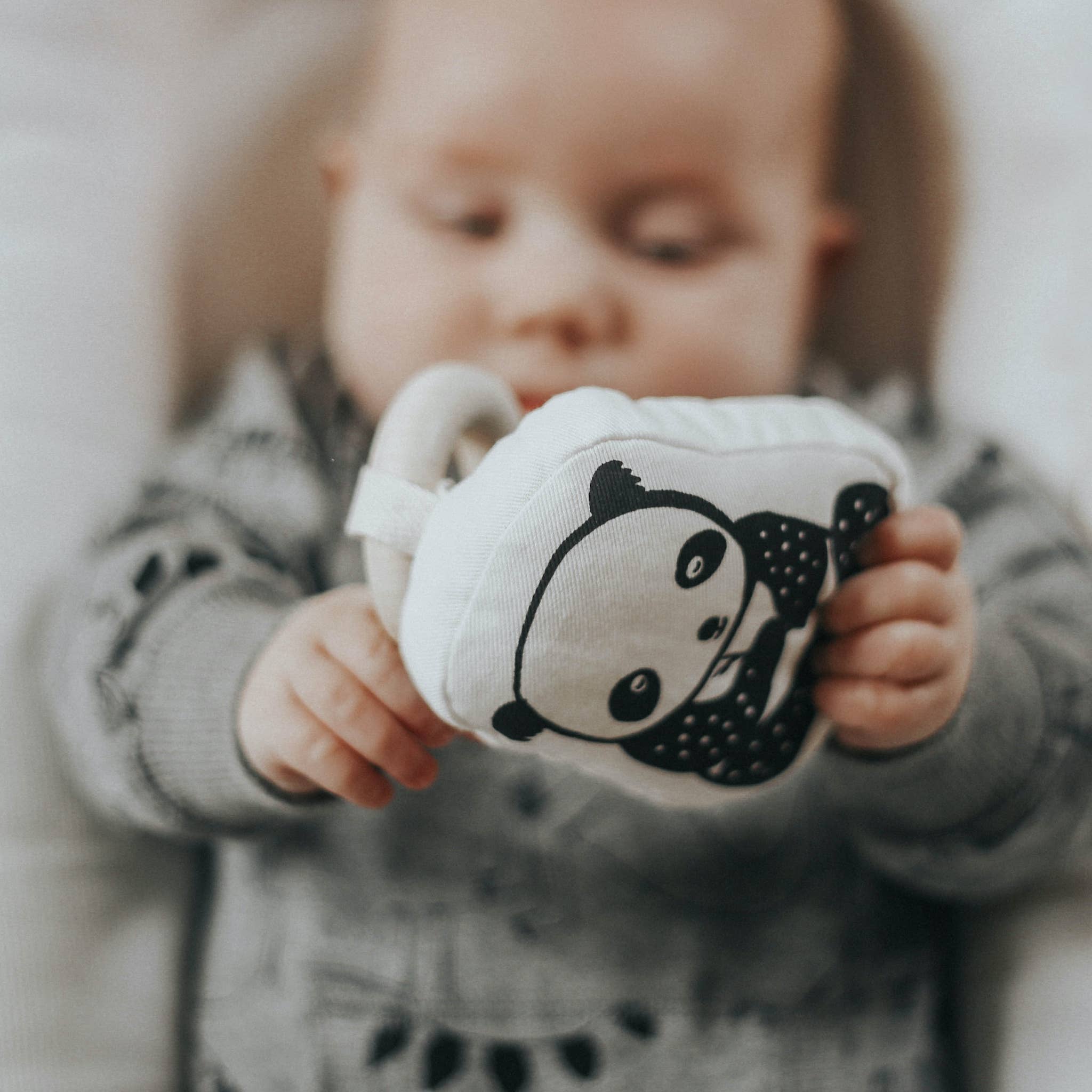 Little Naturalist Gift Box - Black + White