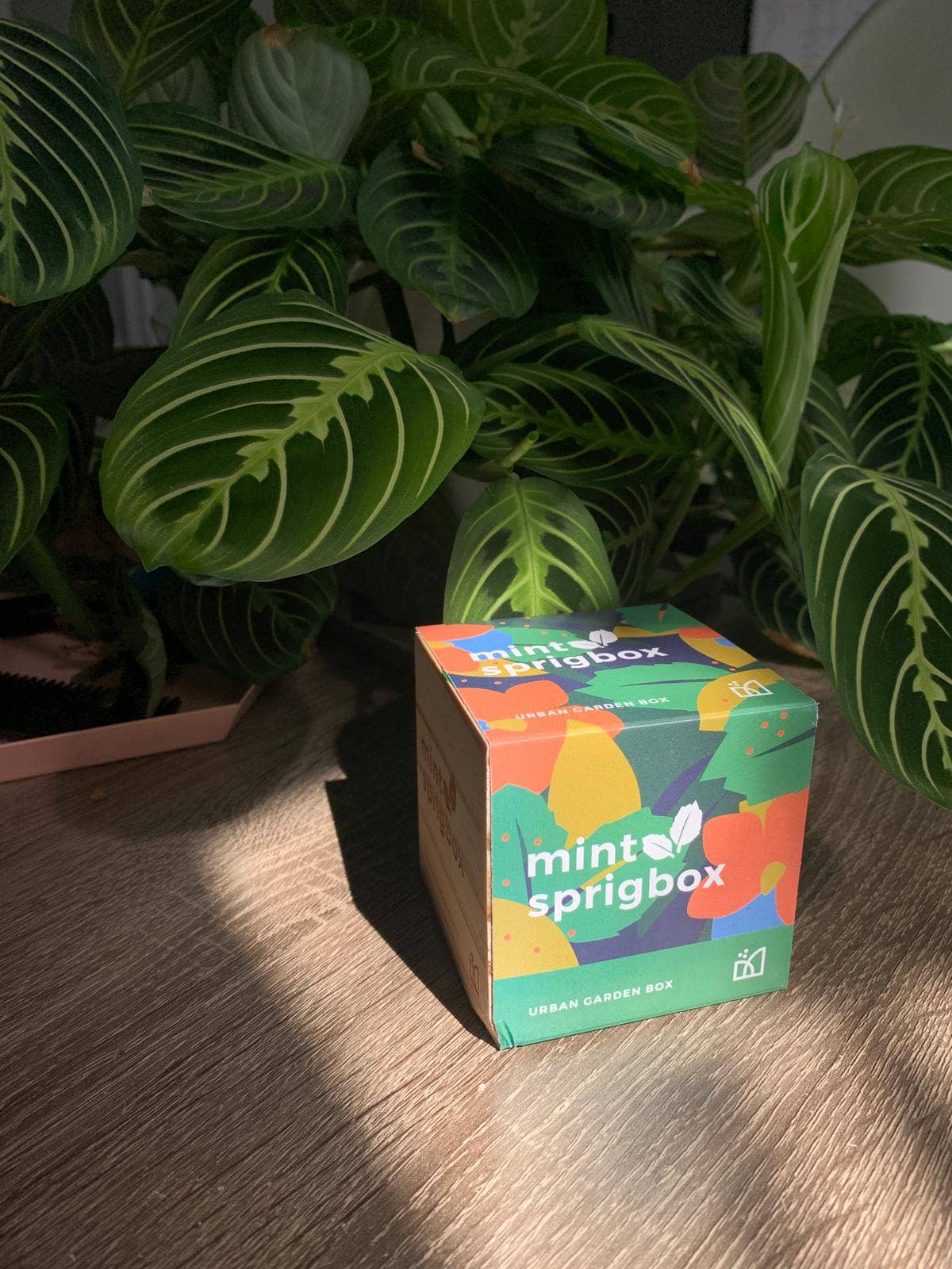 The Grow & Glow Gift Box