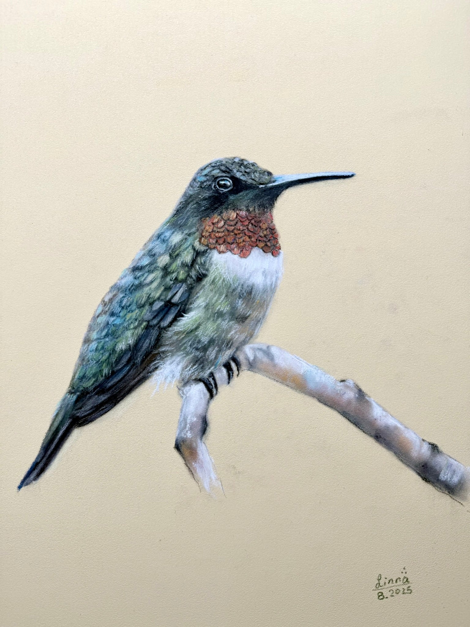 Silent Wing — 8x10 Art Print (Matted)