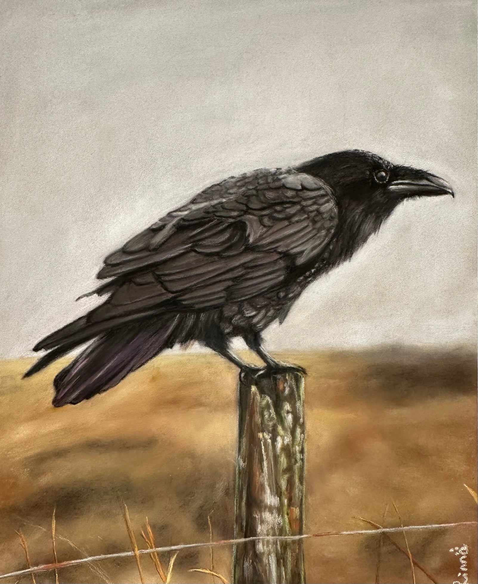 Watcher of the Field – 8x10 Art Print (Matted)