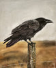 Watcher of the Field – 8x10 Art Print (Matted)