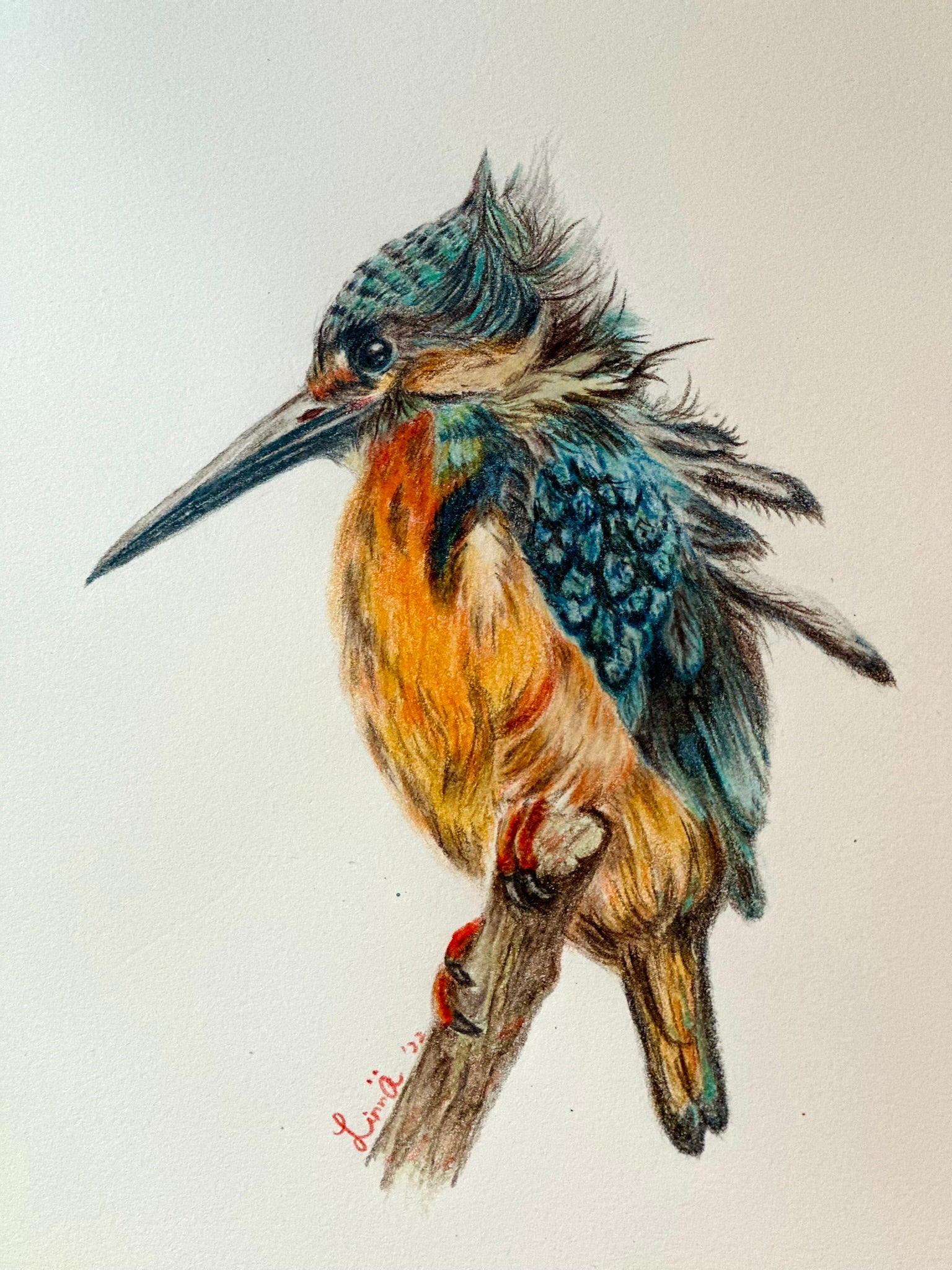 Gone Fishing – 8x10 Art Print (Matted)