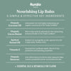 Humble Brands Plastic-Free Lip Balm